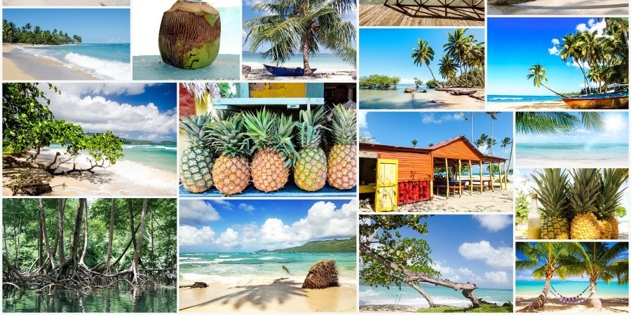 Collage tropicale dominicano
