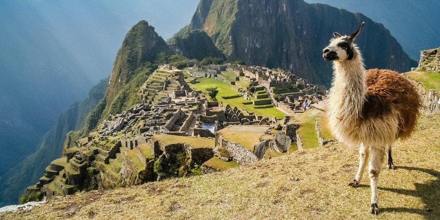 La vetta del Machu Picchu (in simpatica compagnia)